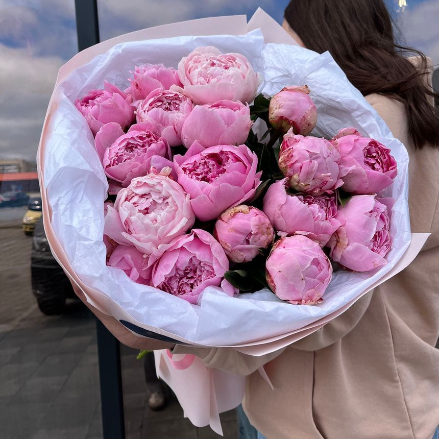 Peonies of Dreams