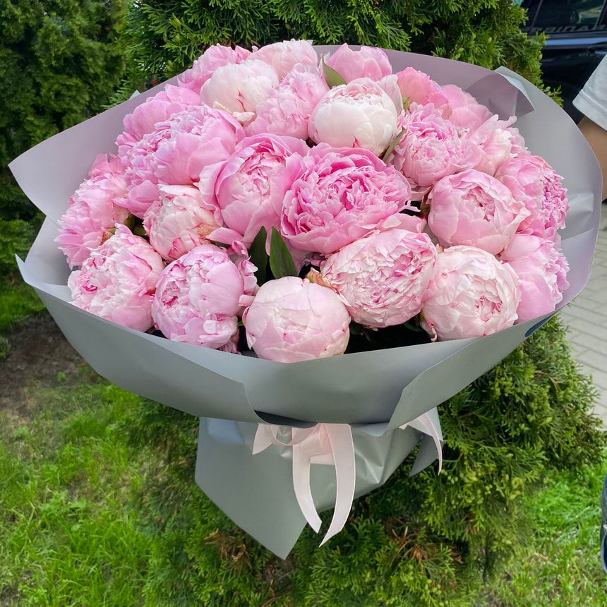 Peonies of Dreams