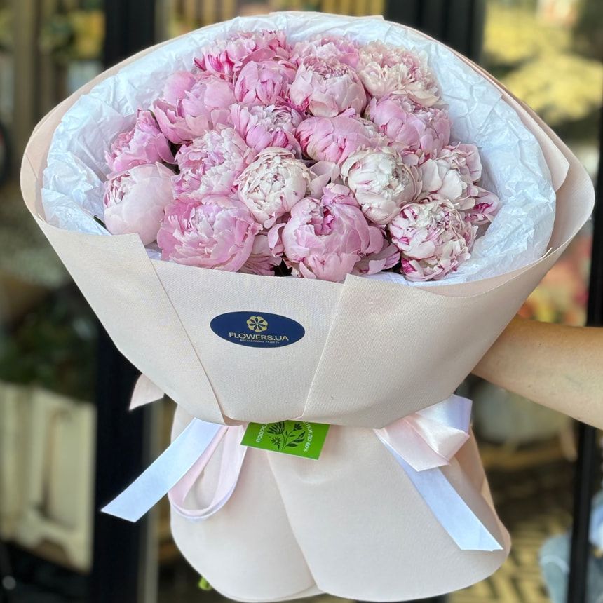 Peonies of Dreams