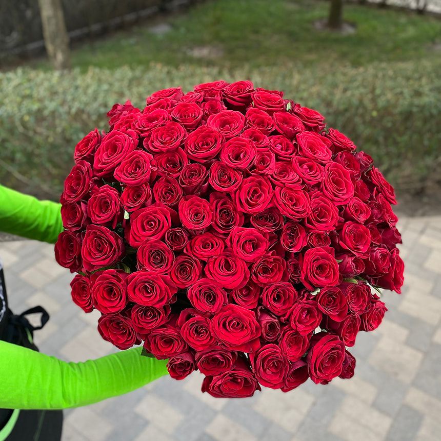 101 красная роза