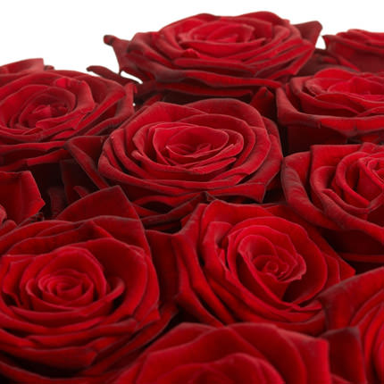 Червона троянда (поштучно) – замовити з доставкою