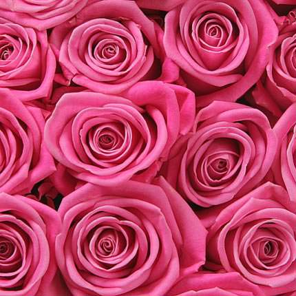 Red pink (by an item) – order with delivery