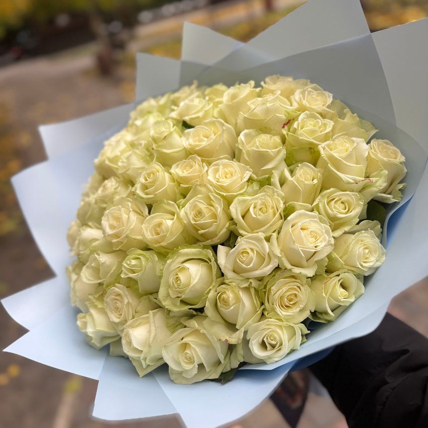 51 белая роза