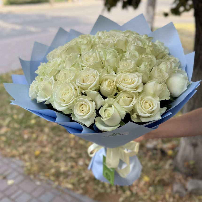 51 белая роза