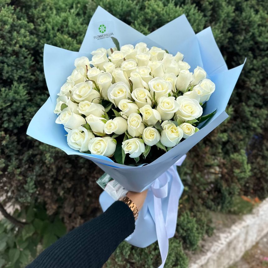 51 white roses