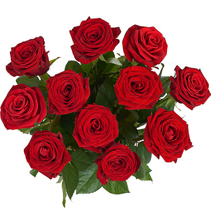 11 червоних троянд – замовити з доставкою