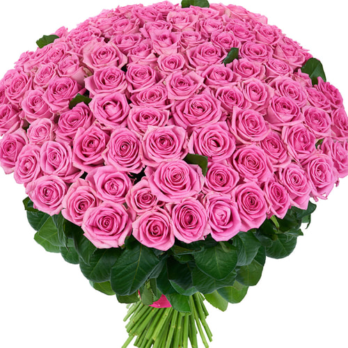 101 рожева троянда