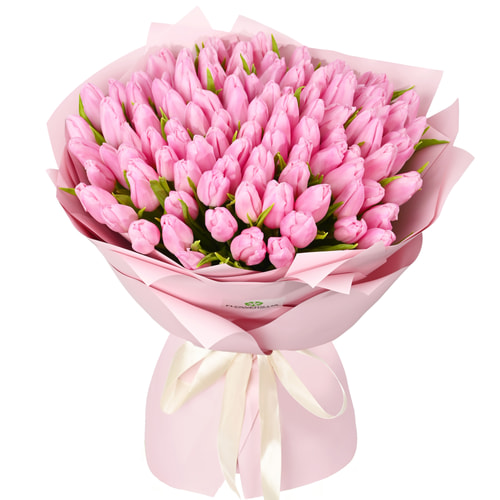 101 pink tulips