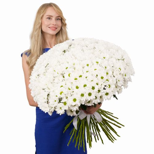 51 біла хризантема