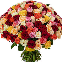 151 різнокольорова троянда