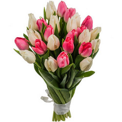 Bouquet of tulips "Tenderness"
