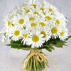 Букет "25 сонячних ромашок"