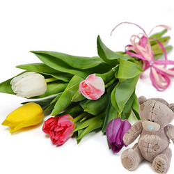 5 tulips (with teddy bear)