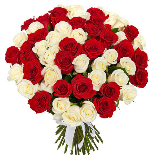 51 червона і біла троянда!