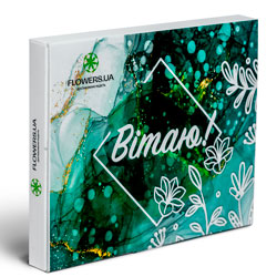 Шоколадний набір "Вітаю"