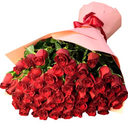 51 red roses 40 cm (Kenya)