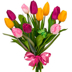 11 ярких тюльпанов