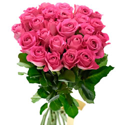 25 pink roses (Kenya)