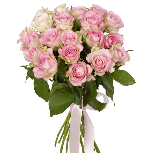 21 Lovely Jewel roses (Kenya)