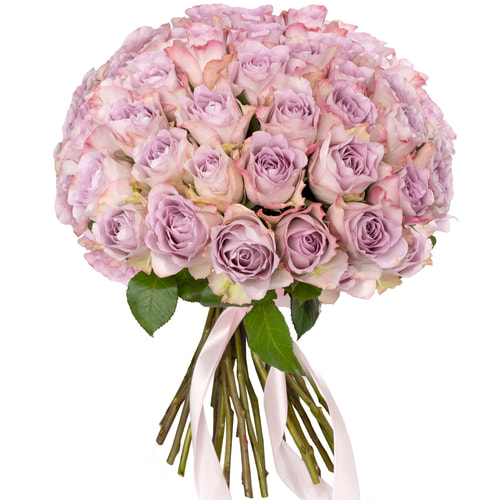 51 троянда Memory Lane (Кенія)