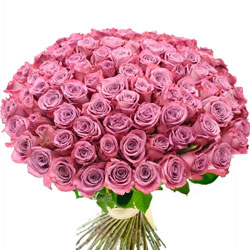 101 троянда Maritim (Кенія)