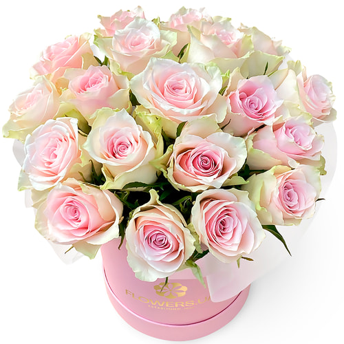 Квіти в коробці “19 троянд Pink Athena”