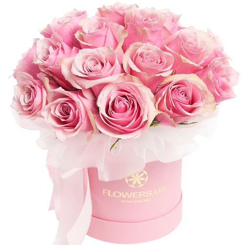 Квіти в коробці "19 троянд Athena Royale"