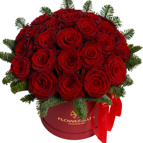 Квіти в коробці "Різдвяна зірка"