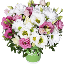 Композиція “Промінчики в очах”