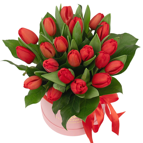 Flowers in a box "19 red tulips"