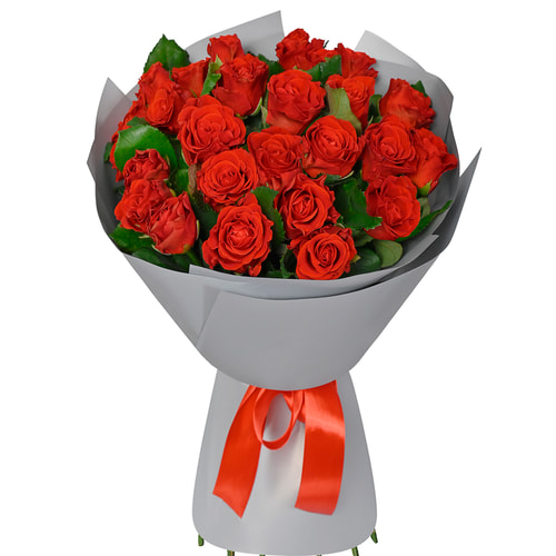 Монобукет "25 троянд El Toro"