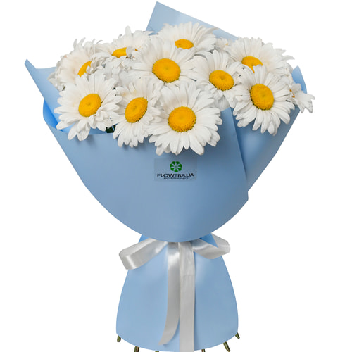 Букет "19 ромашок"