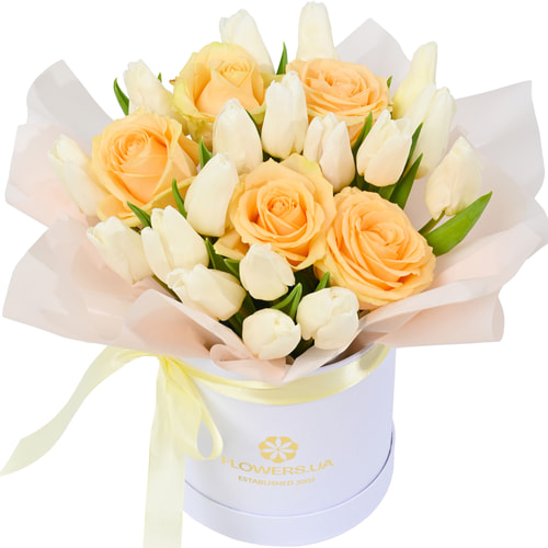 "Dreams" composition