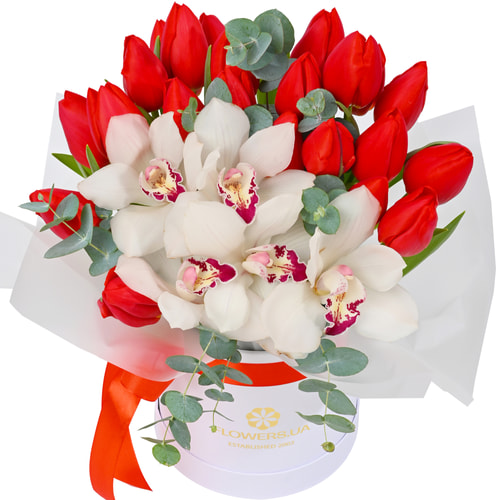 "Whisper of Orchids" composition