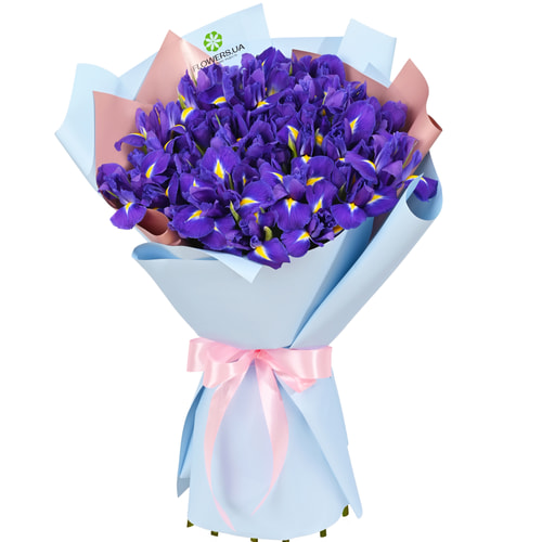 Монобукет з 35 синіх ірисів