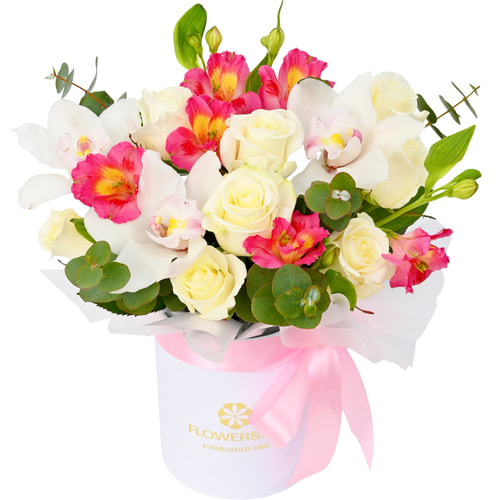 Композиція "Мій Всесвіт"