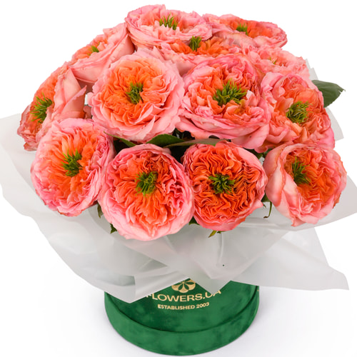 Композиція "Мандарин"