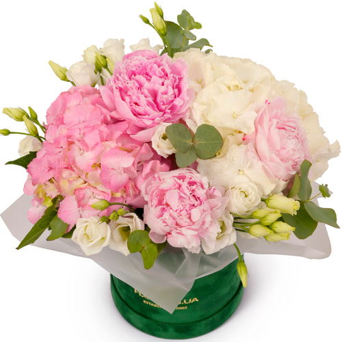 "Romantic Waltz" composition