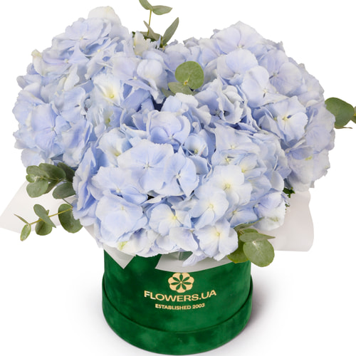Композиція "Гортензія в блакитному"