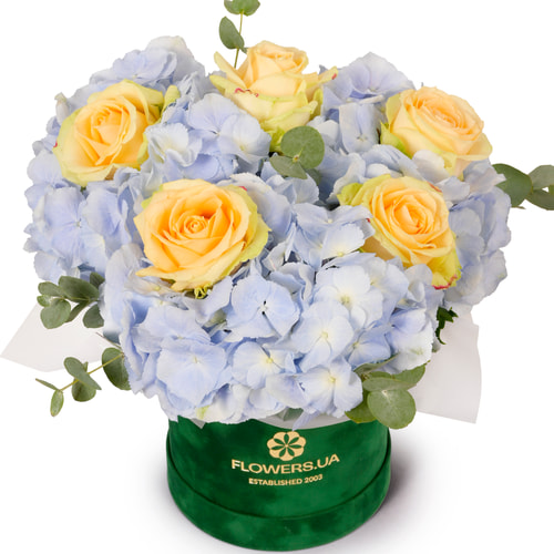 Композиція "Arcadia"