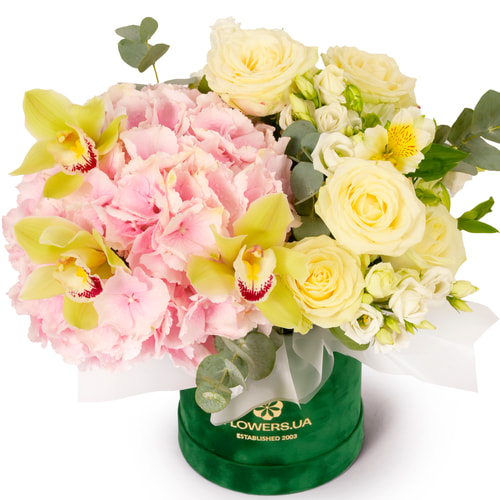 Композиція "Шарм Провансу"