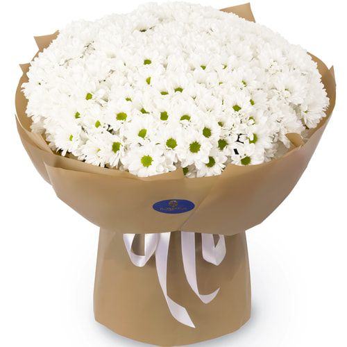 Букет "Tokio" з 51 білої хризантеми