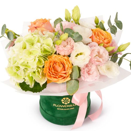 Композиція "Софі"