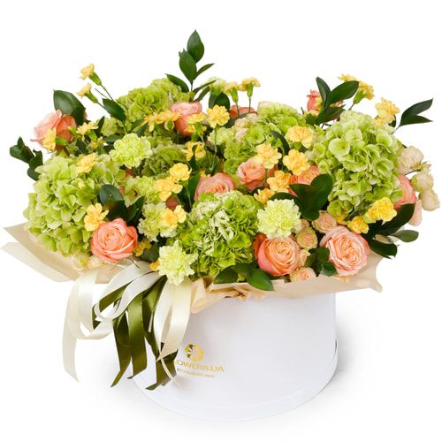 "Land of Fjords" composition