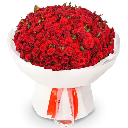 201 червона троянда