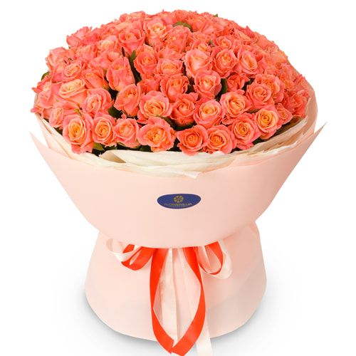 101 коралова троянда
