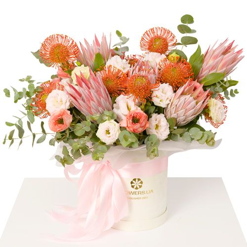 Композиція "Лорія"