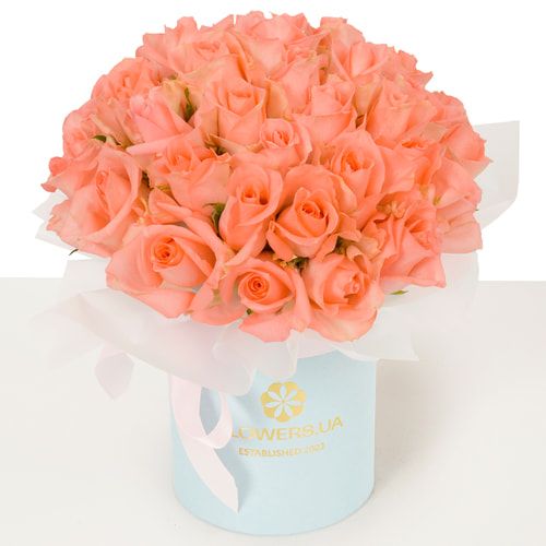 "Kiss Elegy" composition