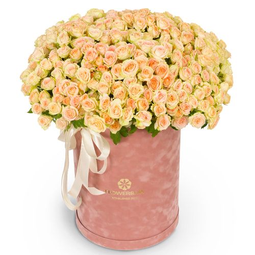 Композиция "Vanilla Cake"