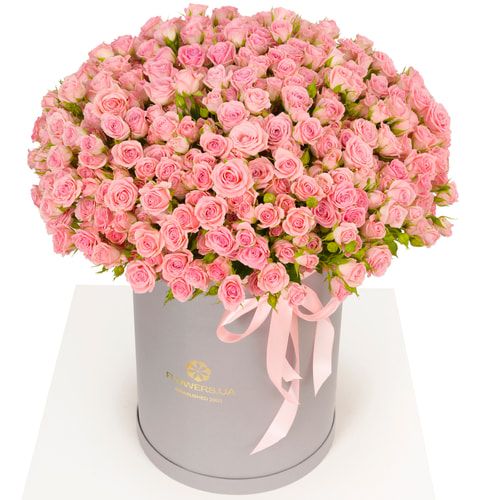 Композиція "Pink Sound"